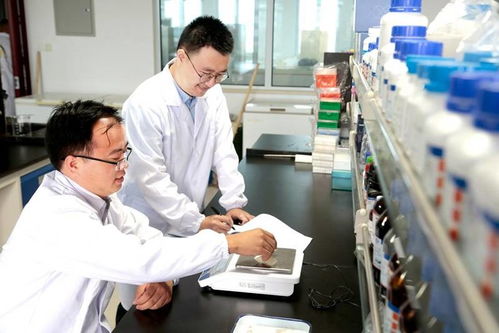 了不起的猫咪博士技术服务站成立 引领食养宠猫新潮流